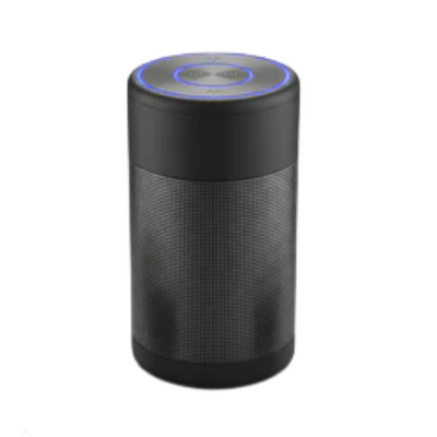 Portable Speakers